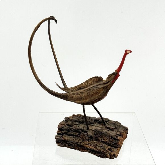 Vintage Devil's Claw Seed Pod Bird Sculpture Mounted on Driftwood Bark - Picture 9 of 13